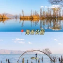大理古城 - 大理白族自治州旅游 缩略图 8