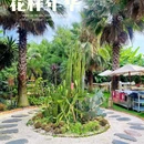 卡萨四季庭院餐厅Casa Jardin - 成都市旅游 缩略图 8