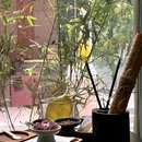一川制茶TEA SHOP(明城墙老菜场店) - 西安市旅游 缩略图 6