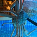 挚膳·鉴山海(精致料理放题自助) - 西安市旅游 缩略图 6