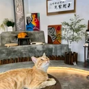 飞山街 - 贵阳市旅游 缩略图 7