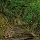 涂山寺 - 重庆市旅游 缩略图 4