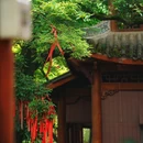 涂山寺 - 重庆市旅游 缩略图 7