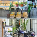 浙农·东巢艺术公园 - 杭州市旅游 缩略图 4
