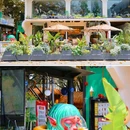 望平街 - 成都市旅游 缩略图 5