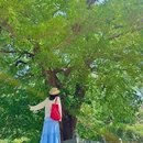 南阳村 - 淄博旅游 缩略图 8