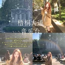 南京夫子庙 - 南京市旅游 缩略图 3