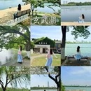 南京夫子庙 - 南京市旅游 缩略图 4