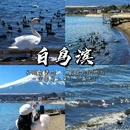 日本 - 海外旅游 缩略图 4