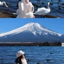 日本 - 海外旅游 缩略图 5