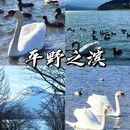 日本 - 海外旅游 缩略图 9