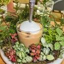 hygge by STUDIO 9 - 上海市旅游 缩略图 3