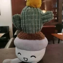 器·cafe·bar(小河直街店) - 杭州旅游 缩略图 5