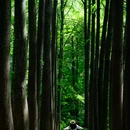 武汉东湖落雁景区 - 武汉市旅游 缩略图 7