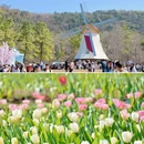 太子湾公园 - 杭州市旅游 缩略图 3