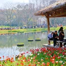 太子湾公园 - 杭州市旅游 缩略图 8