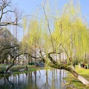 太子湾公园 - 杭州市旅游 缩略图 9