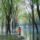 潮白河生态景观带 - 北京市旅游 缩略图 3