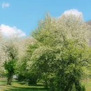 甲根坝景点·自然山水风光 - 甘孜藏族自治州旅游 缩略图 6
