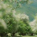 甲根坝景点·自然山水风光 - 甘孜藏族自治州旅游 缩略图 9
