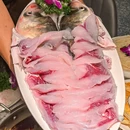 蜀滋香鲜鱼美蛙火锅(华油路店) - 成都市旅游 缩略图 1