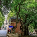 福州烟台山公园 - 福州市旅游 缩略图 2