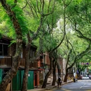福州烟台山公园 - 福州市旅游 缩略图 9