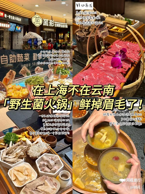菌彩云南野生菌火锅(龙之梦店) - 上海市旅游