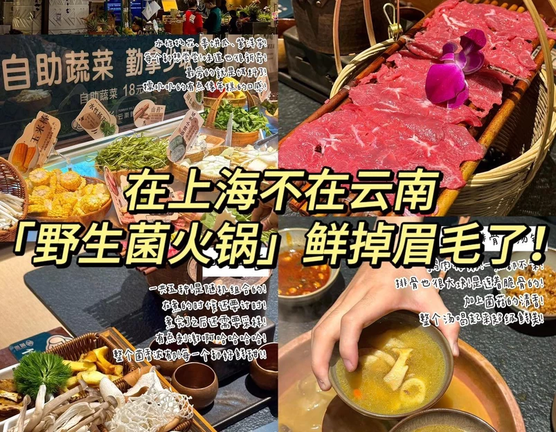 菌彩云南野生菌火锅(龙之梦店) - 上海市旅游 1