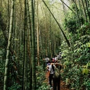 星溪线徒步起点 - 广州市旅游 缩略图 4