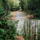 星溪线徒步起点 - 广州市旅游 缩略图 5