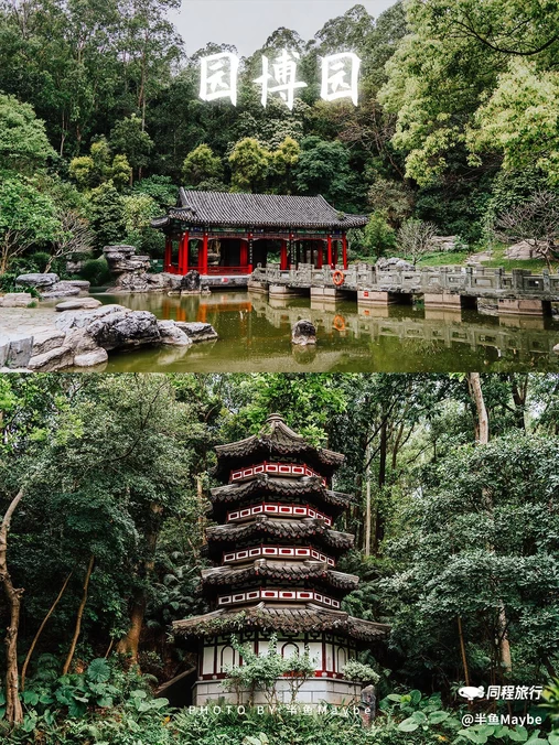 深圳国际园林花卉博览园 - 深圳市旅游