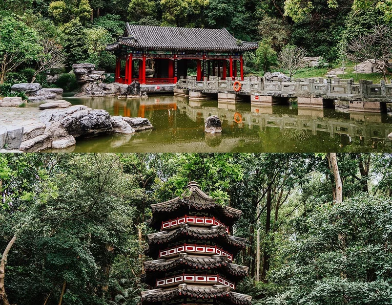 深圳国际园林花卉博览园 - 深圳市旅游 1