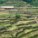 不二门森林公园-北门 - 湘西土家族苗族自治州旅游 缩略图 9