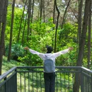 永安湖城市森林公园 - 成都市旅游 缩略图 2