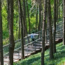 永安湖城市森林公园 - 成都市旅游 缩略图 3
