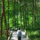 永安湖城市森林公园 - 成都市旅游 缩略图 6