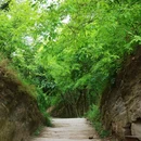 三道财神健身步道 - 成都市旅游 缩略图 2