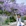 成都市·天府公园