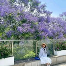 天府公园 - 成都市旅游 缩略图 2