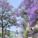 天府公园 - 成都市旅游 缩略图 7