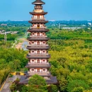 浙江玉环漩门湾国家湿地公园 - 台州市旅游 缩略图 6