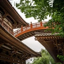 青龙寺 - 西安市旅游 缩略图 1