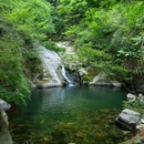 隐居乡里·青木瓜之味乡村度假区 - 安康市旅游 缩略图 1
