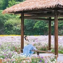 隐居乡里·青木瓜之味乡村度假区 - 安康市旅游 缩略图 6