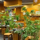 成都市植物园 - 成都市旅游 缩略图 3