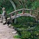 云南丰泽源植物园 - 昆明市旅游 缩略图 7