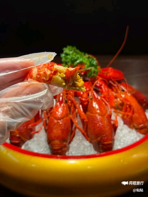 龙湖上海华泾天街 - 上海市旅游