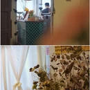 鹊起咖啡 - 广州市旅游 缩略图 5