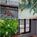 鹊起咖啡 - 广州市旅游 缩略图 7